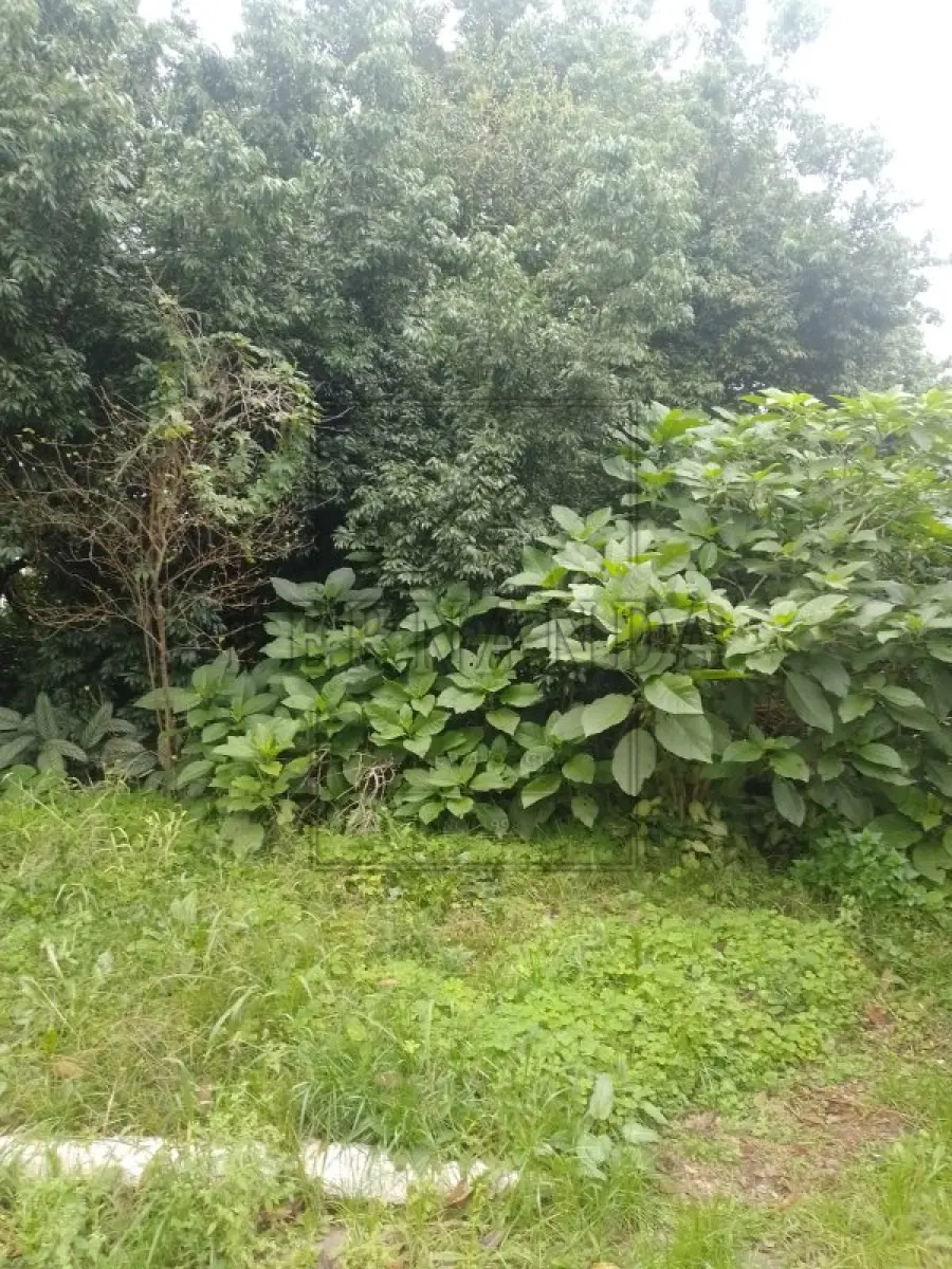 LOTE 001 - NOVO HAMBURGO -Imóvel Localizado na Rua Florianópolis, s/n, Boa Vista. Imóvel com 808,00m². Desocupado. Matrícula n° 131277. Avaliado em R$ 927.915,28.