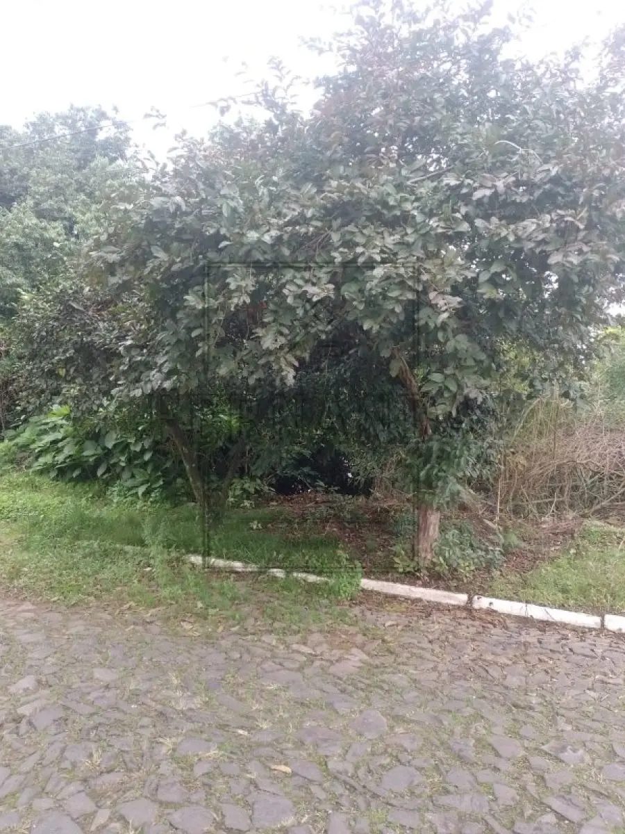 LOTE 001 - NOVO HAMBURGO -Imóvel Localizado na Rua Florianópolis, s/n, Boa Vista. Imóvel com 808,00m². Desocupado. Matrícula n° 131277. Avaliado em R$ 927.915,28.