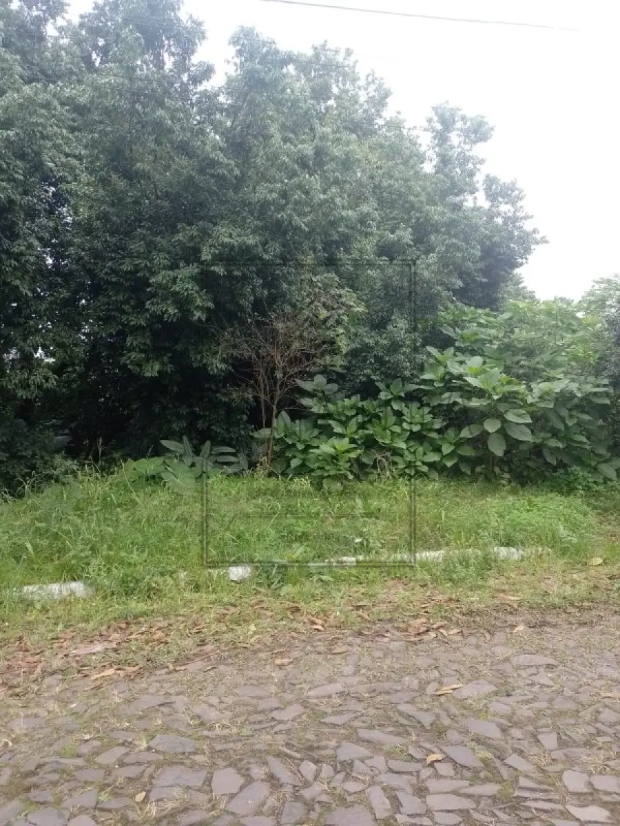 LOTE 001 - NOVO HAMBURGO -Imóvel Localizado na Rua Florianópolis, s/n, Boa Vista. Imóvel com 808,00m². Desocupado. Matrícula n° 131277. Avaliado em R$ 927.915,28.