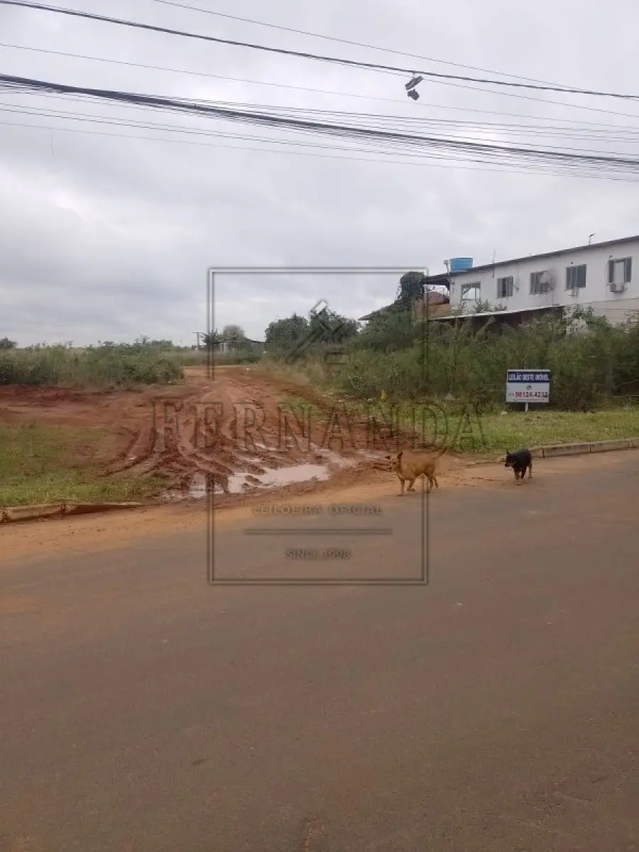 LOTE 003 - NOVO HAMBURGO -Imóvel Localizado na Rua Coronel Jacob Kroeff Filho, s/n, Rondônia. Imóvel com 2.328,59m². Desocupado. Matrícula n° 3886. Avaliado em R$ 870.170,80.