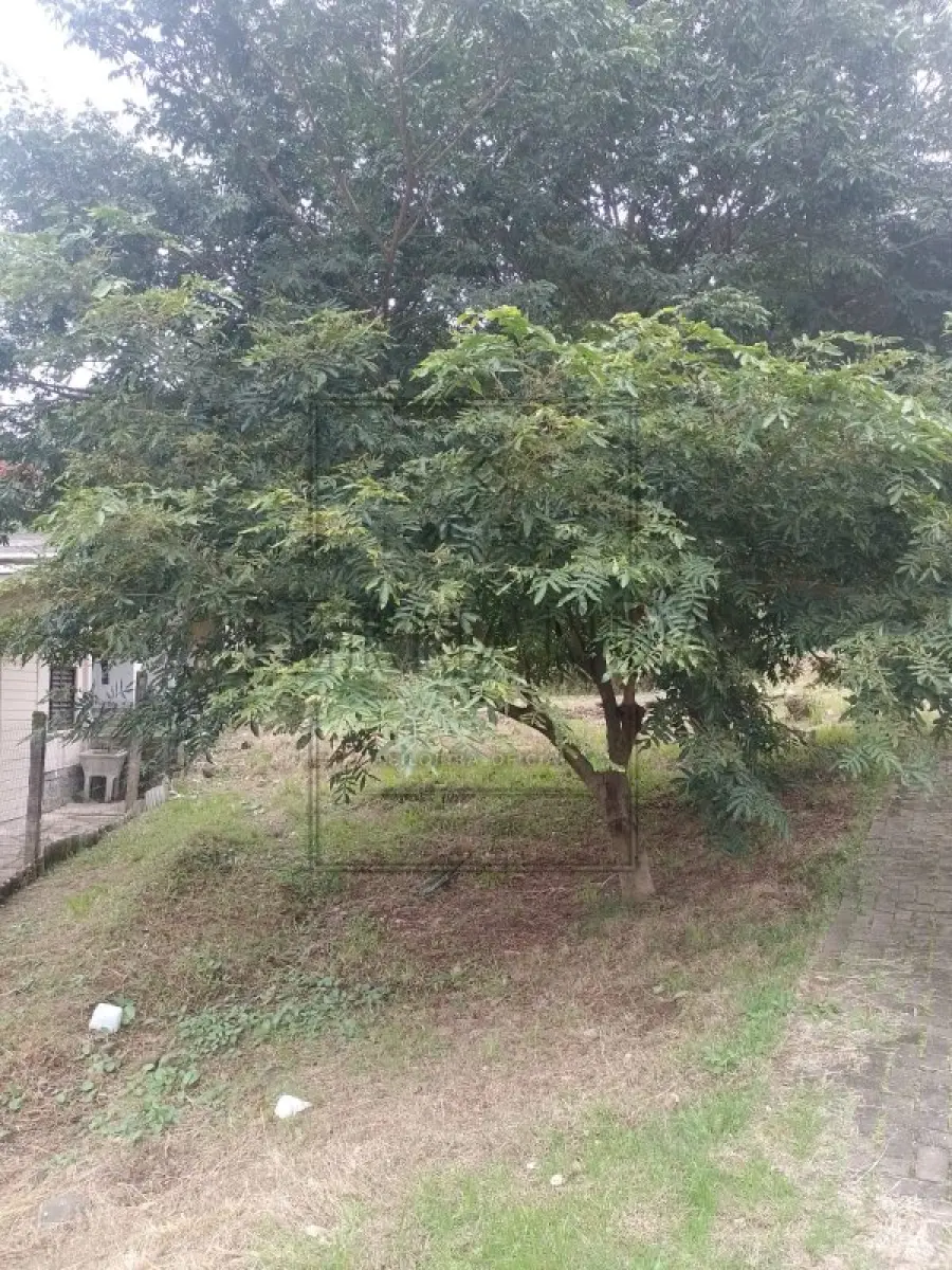 LOTE 001 - NOVO HAMBURGO -Imóvel Localizado na Rua Florianópolis, s/n, Boa Vista. Imóvel com 808,00m². Desocupado. Matrícula n° 131277. Avaliado em R$ 927.915,28.