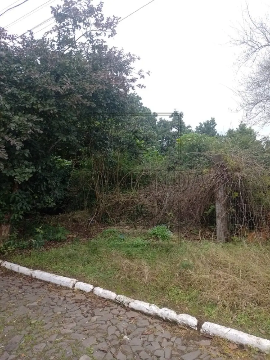 LOTE 001 - NOVO HAMBURGO -Imóvel Localizado na Rua Florianópolis, s/n, Boa Vista. Imóvel com 808,00m². Desocupado. Matrícula n° 131277. Avaliado em R$ 927.915,28.