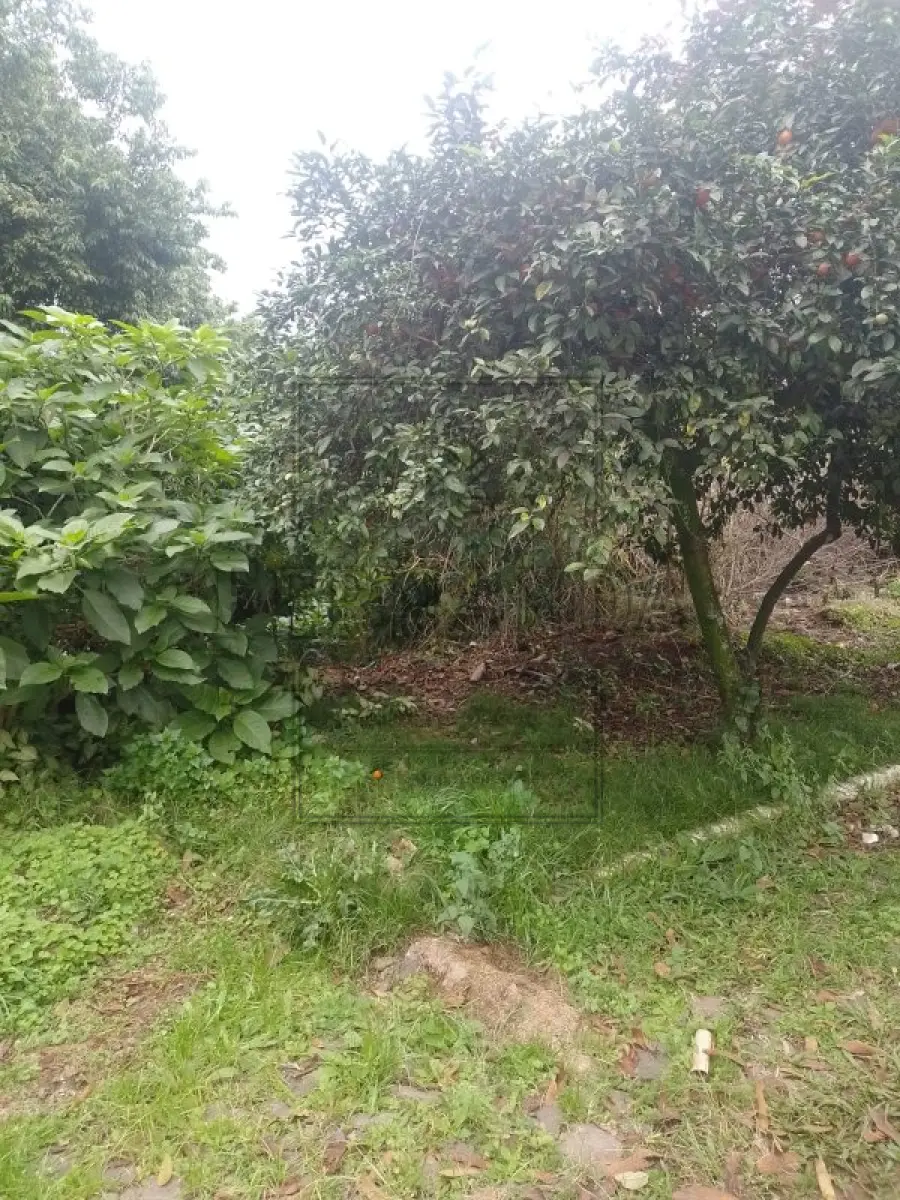 LOTE 001 - NOVO HAMBURGO -Imóvel Localizado na Rua Florianópolis, s/n, Boa Vista. Imóvel com 808,00m². Desocupado. Matrícula n° 131277. Avaliado em R$ 927.915,28.