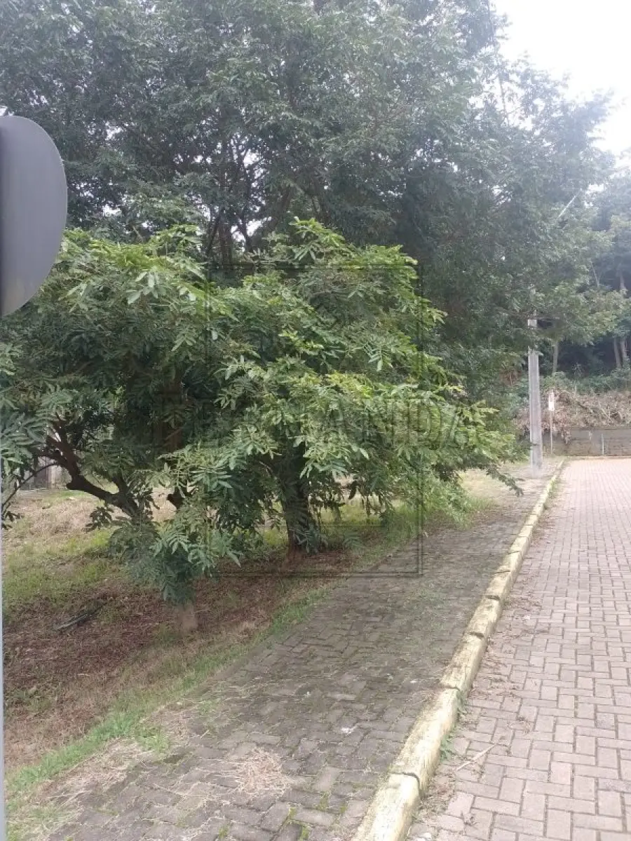 LOTE 001 - NOVO HAMBURGO -Imóvel Localizado na Rua Florianópolis, s/n, Boa Vista. Imóvel com 808,00m². Desocupado. Matrícula n° 131277. Avaliado em R$ 927.915,28.