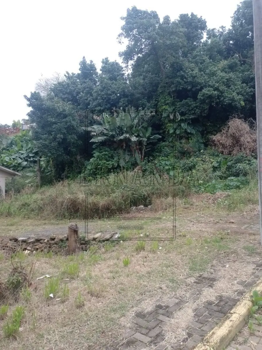 LOTE 001 - NOVO HAMBURGO -Imóvel Localizado na Rua Florianópolis, s/n, Boa Vista. Imóvel com 808,00m². Desocupado. Matrícula n° 131277. Avaliado em R$ 927.915,28.