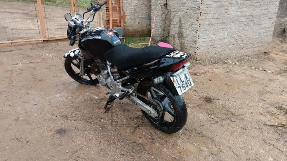 LOTE 0095