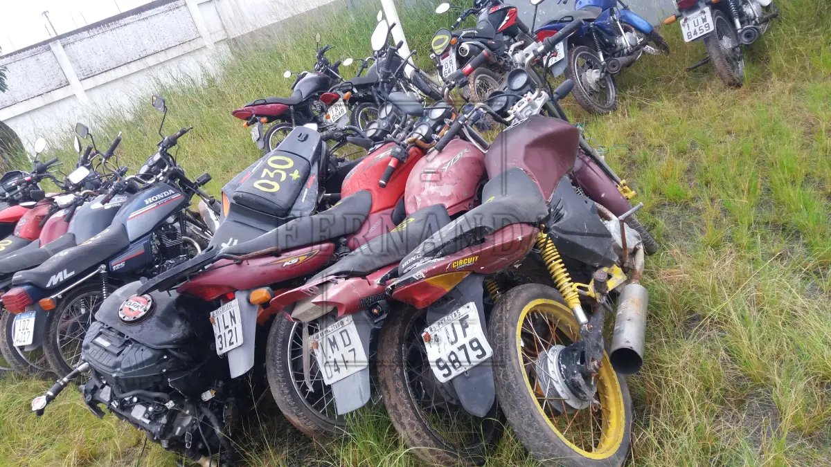 LOTE 0030