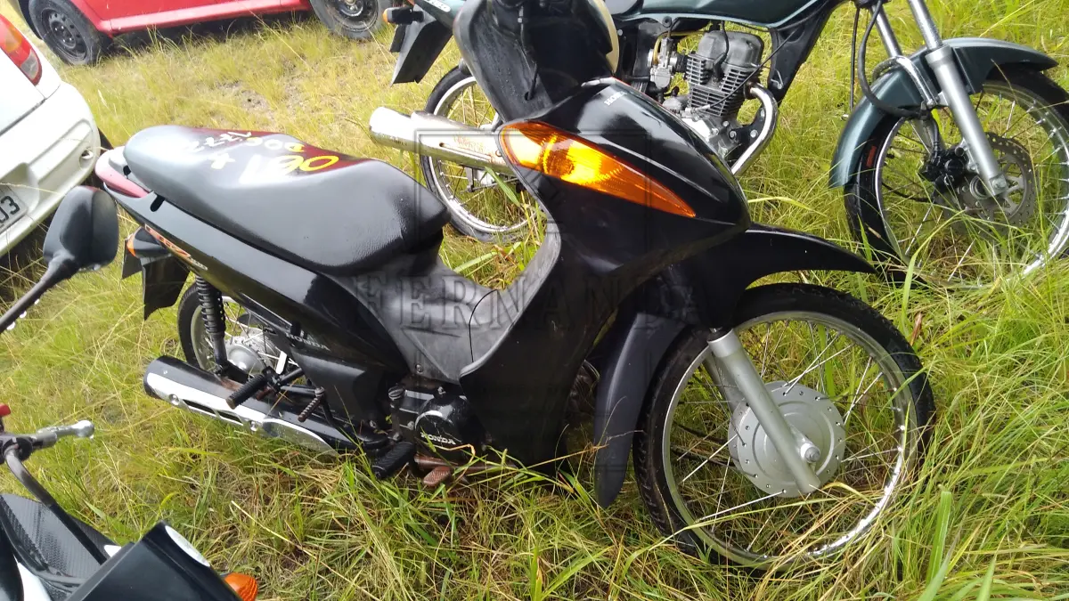LOTE 0061