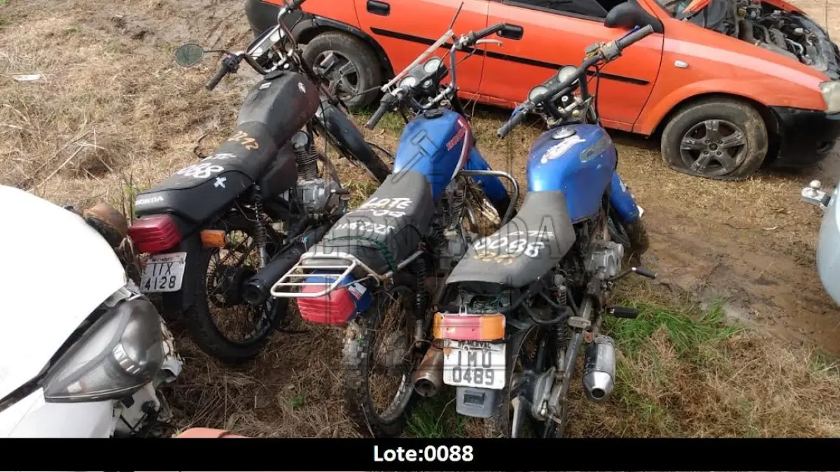 LOTE 0088