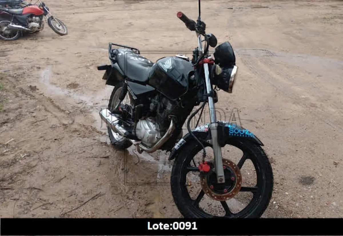 LOTE 0091