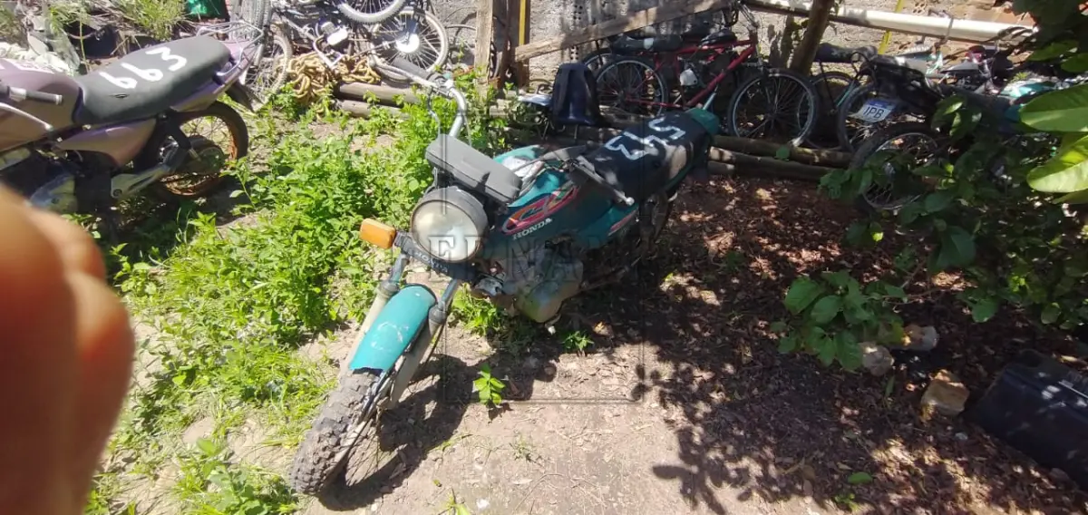 LOTE 0001