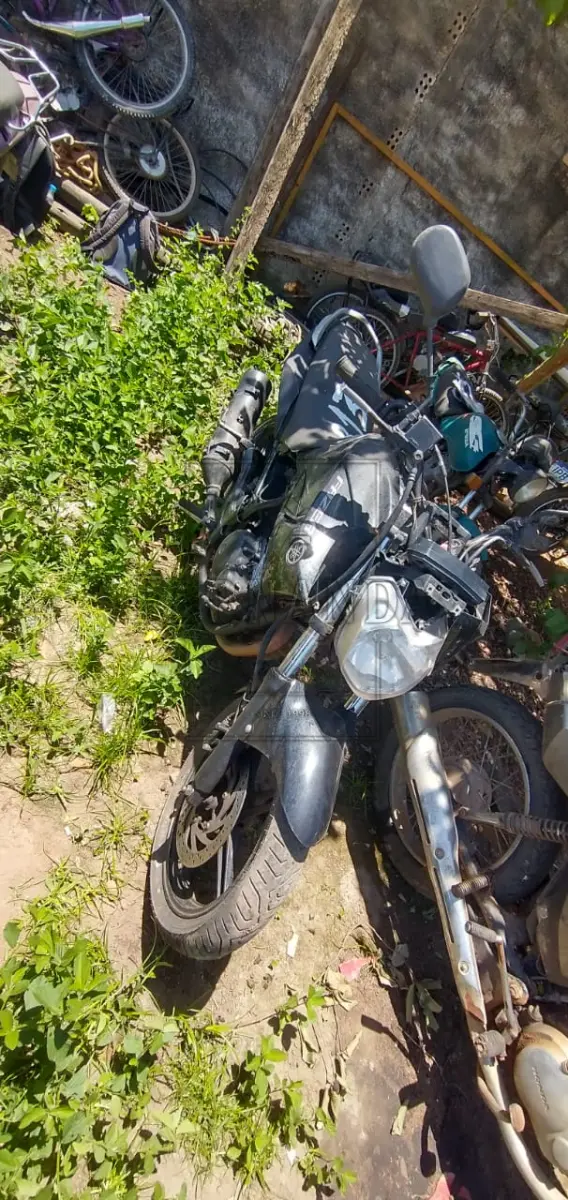 LOTE 0013