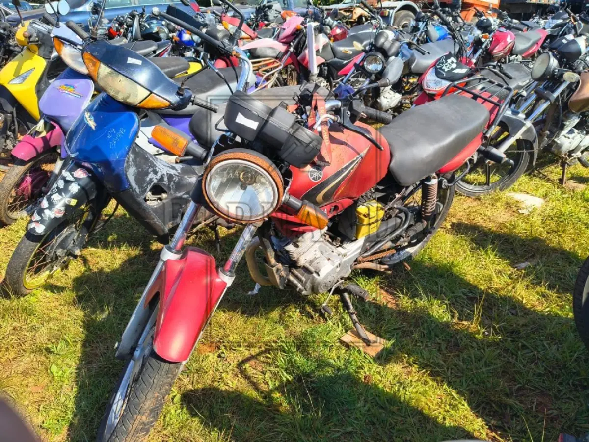 LOTE 0116