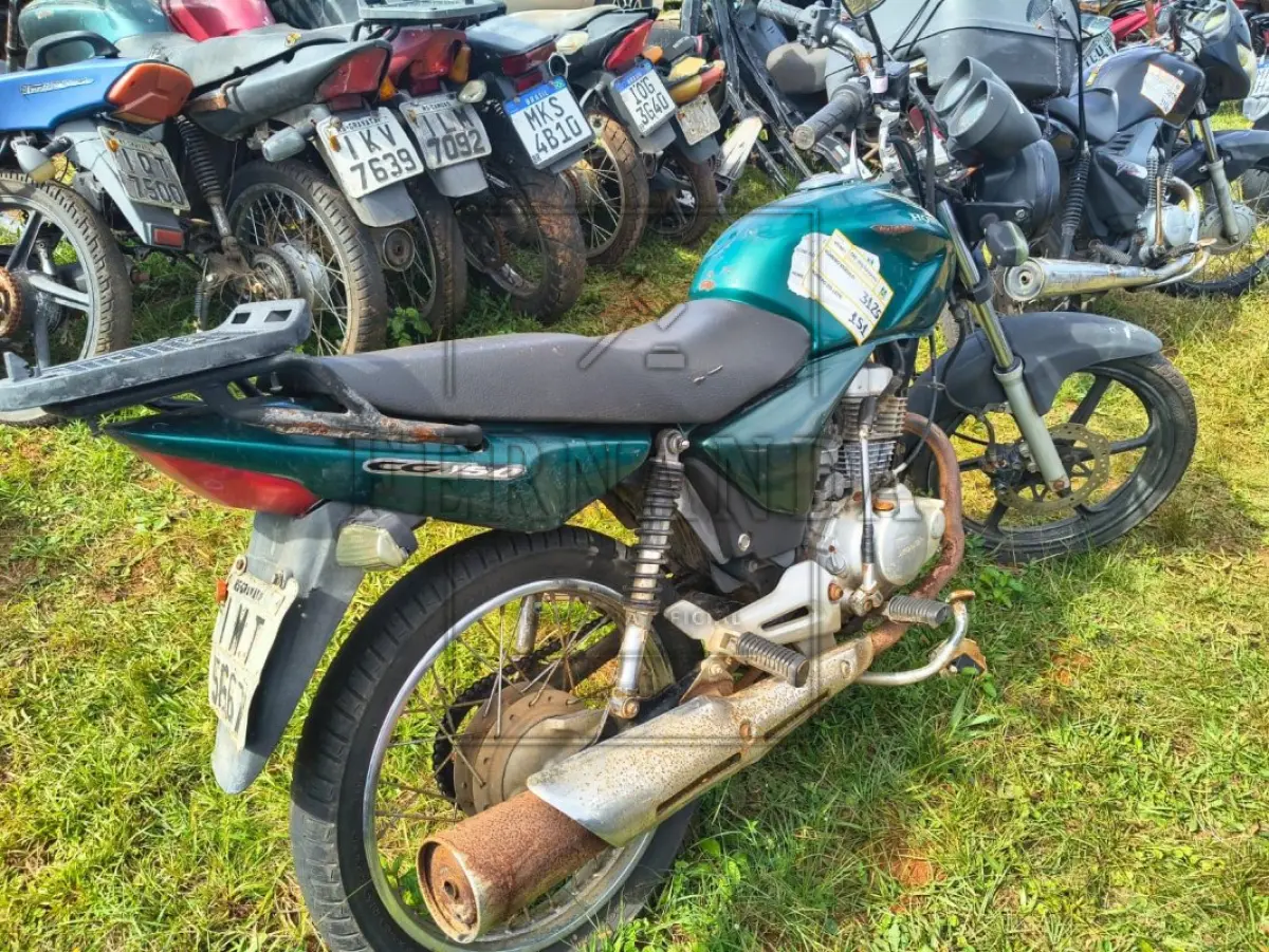 LOTE 0151