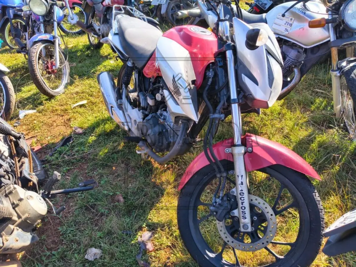 LOTE 0095