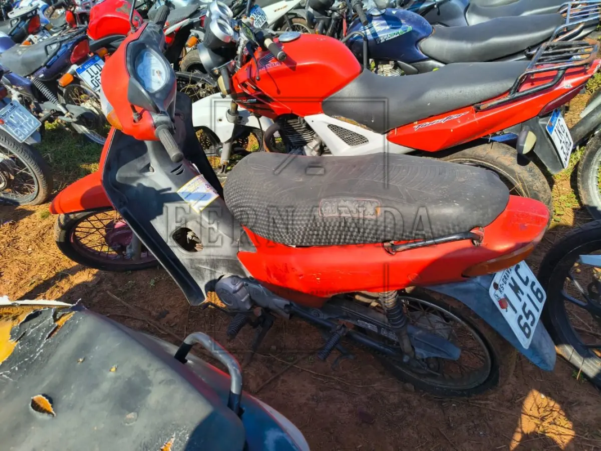LOTE 0082