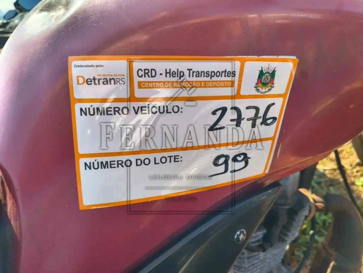 LOTE 0099