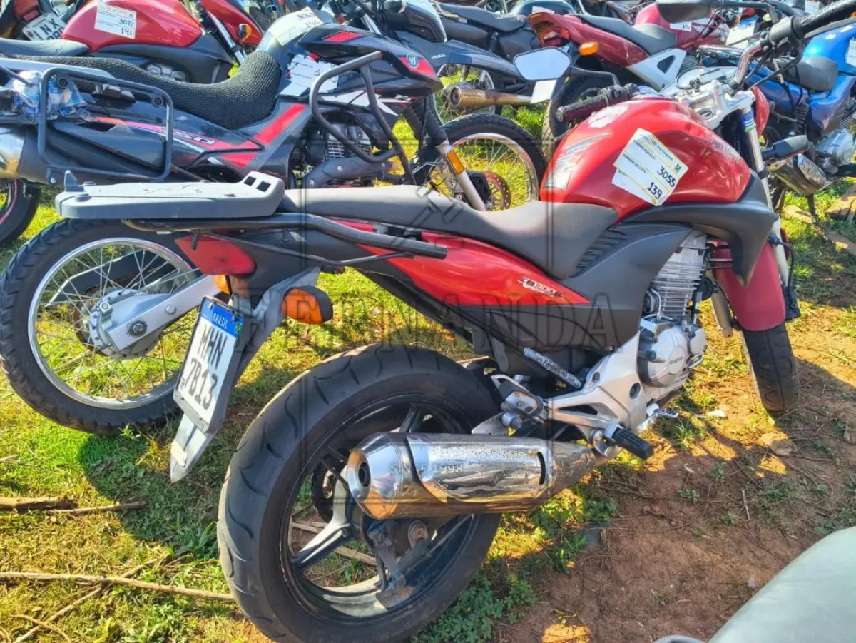 LOTE 0139