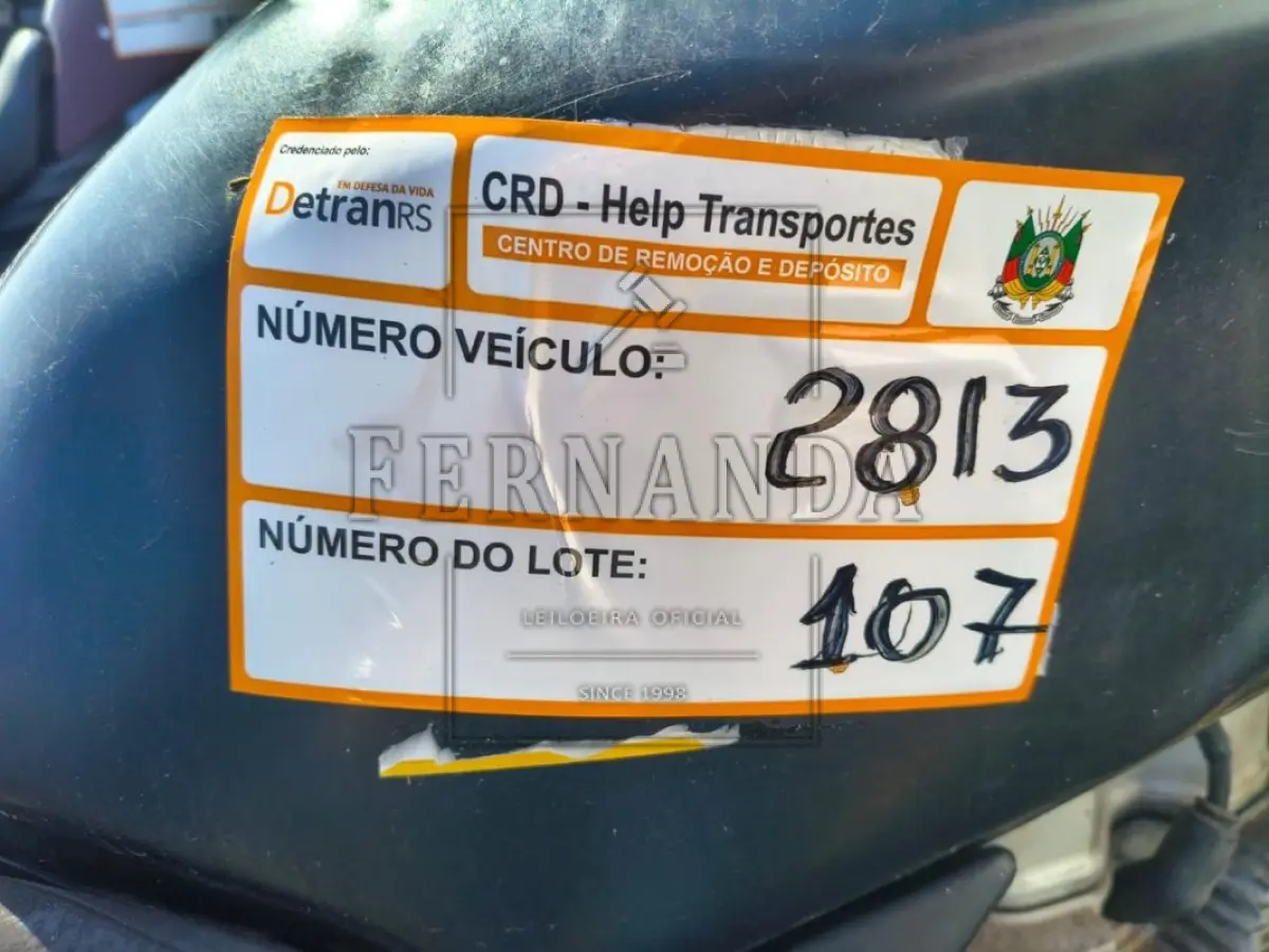 LOTE 0107