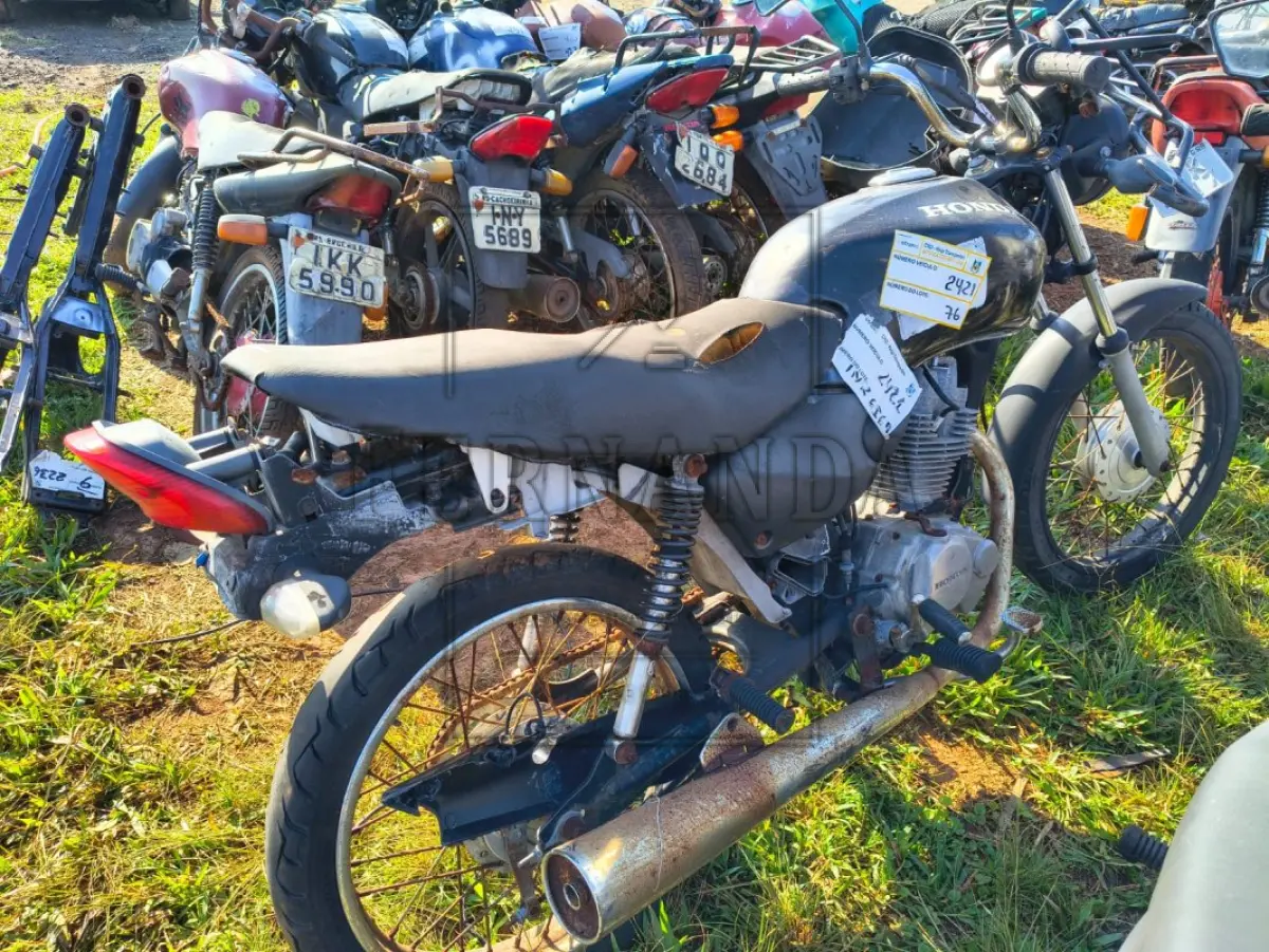 LOTE 0076