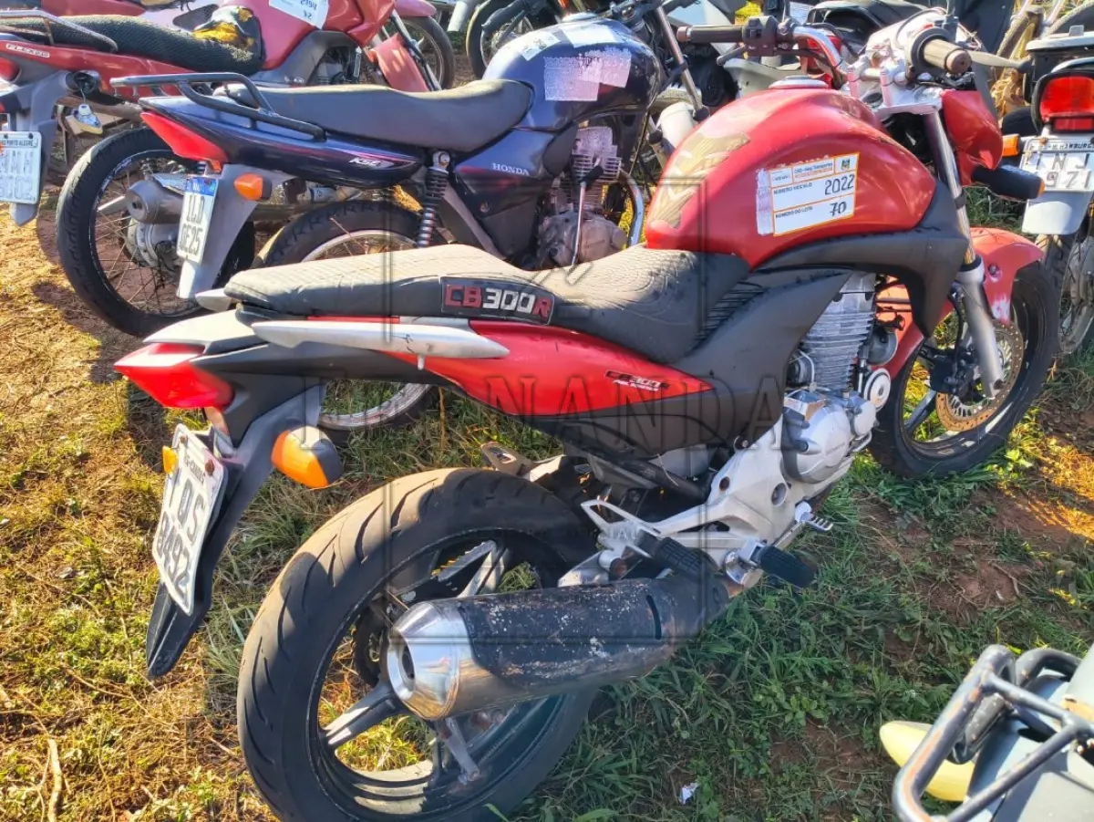 LOTE 0070