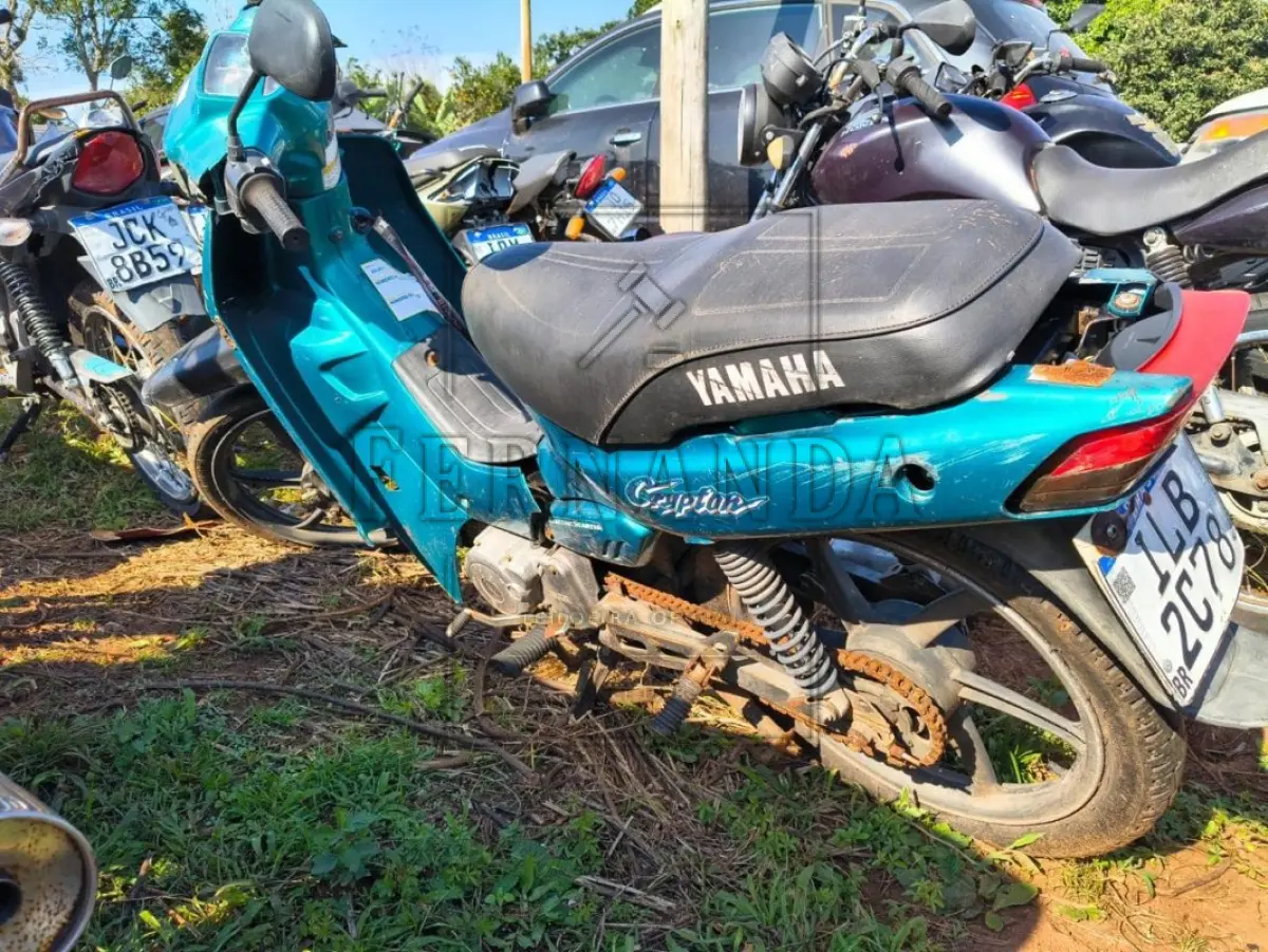 LOTE 0089