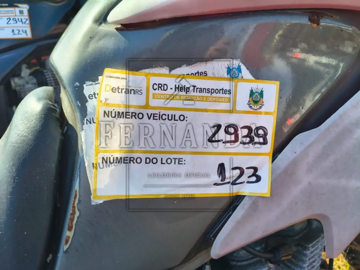 LOTE 0123