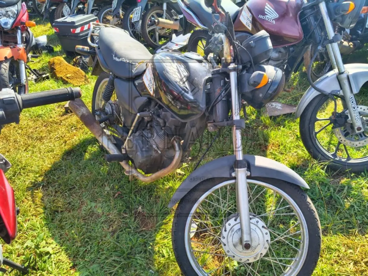 LOTE 0135
