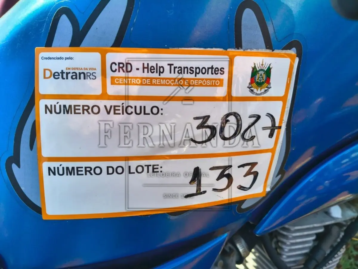 LOTE 0133