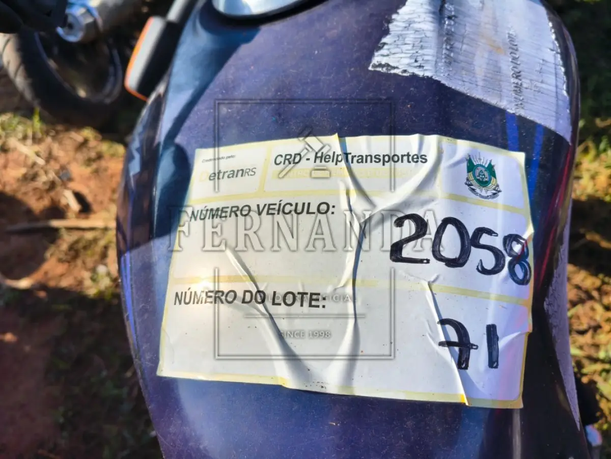 LOTE 0071