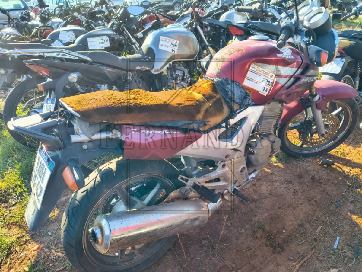 LOTE 0073