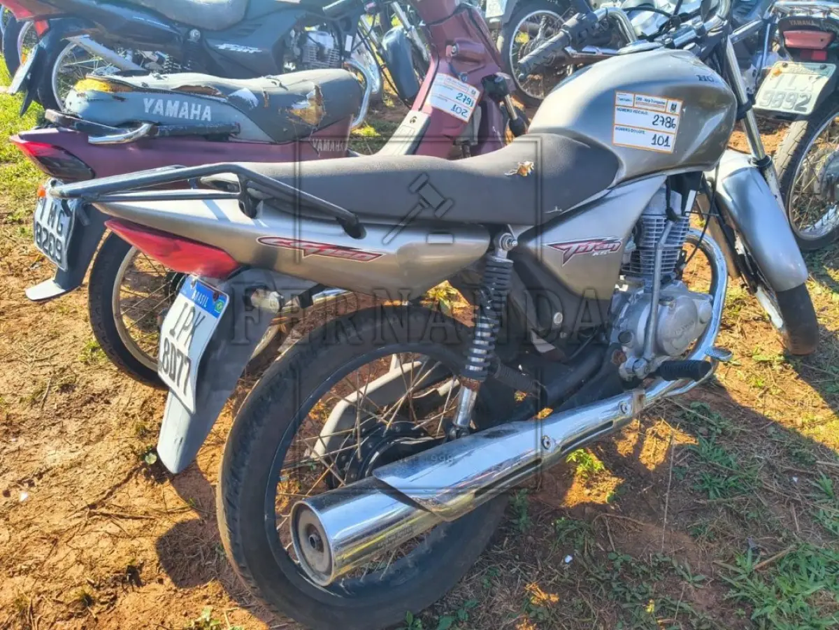 LOTE 0101