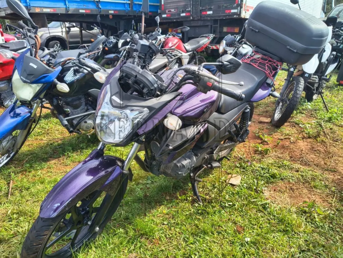 LOTE 0156