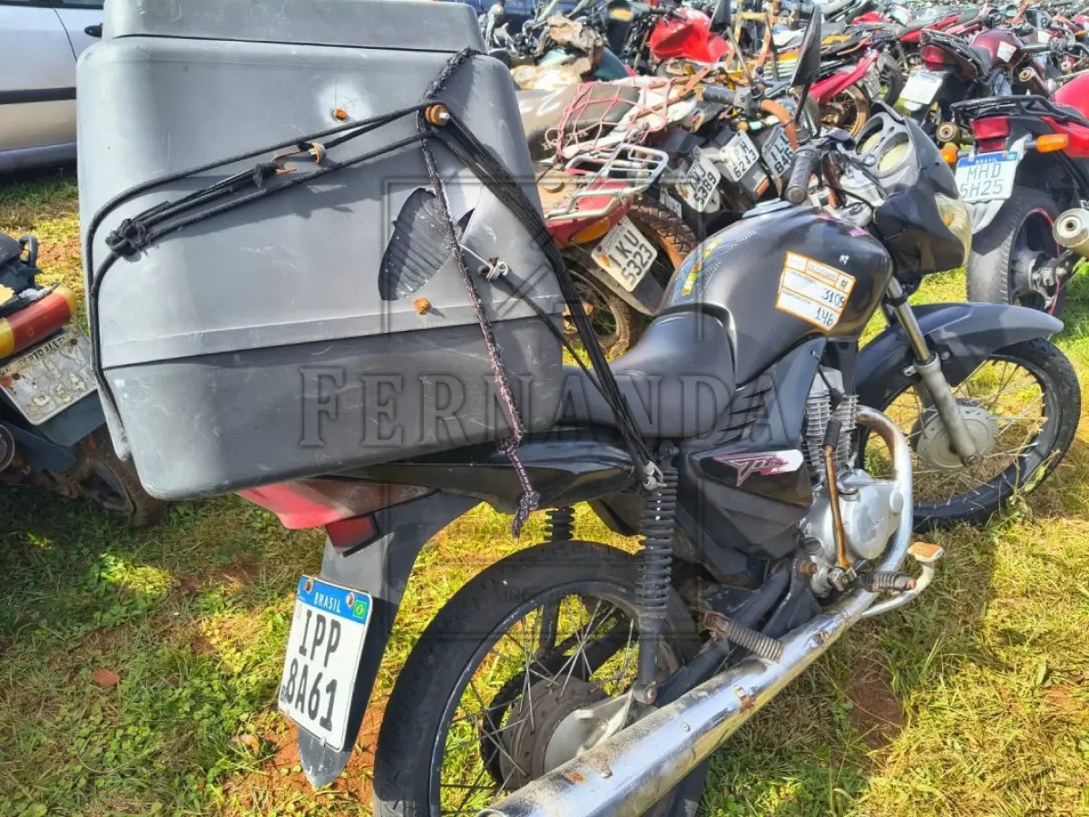 LOTE 0146