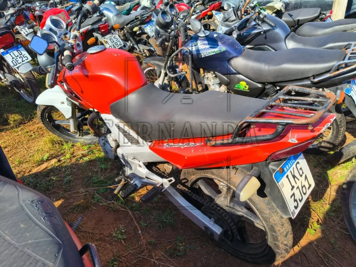 LOTE 0081