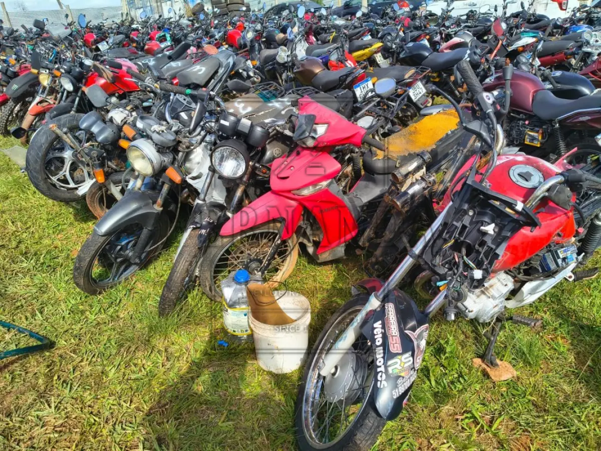 LOTE 0001