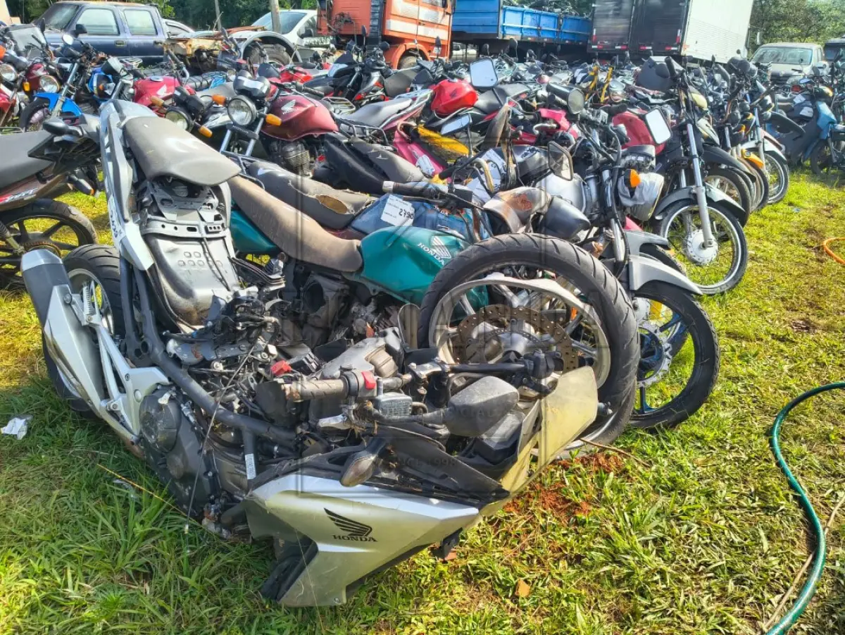 LOTE 0003
