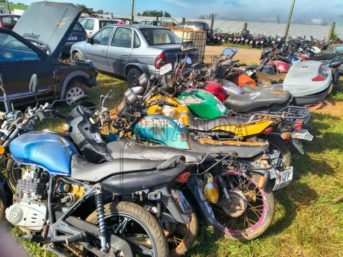 LOTE 0005