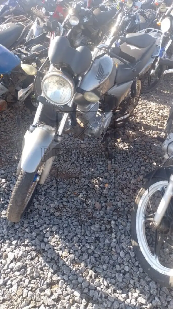 LOTE 0361