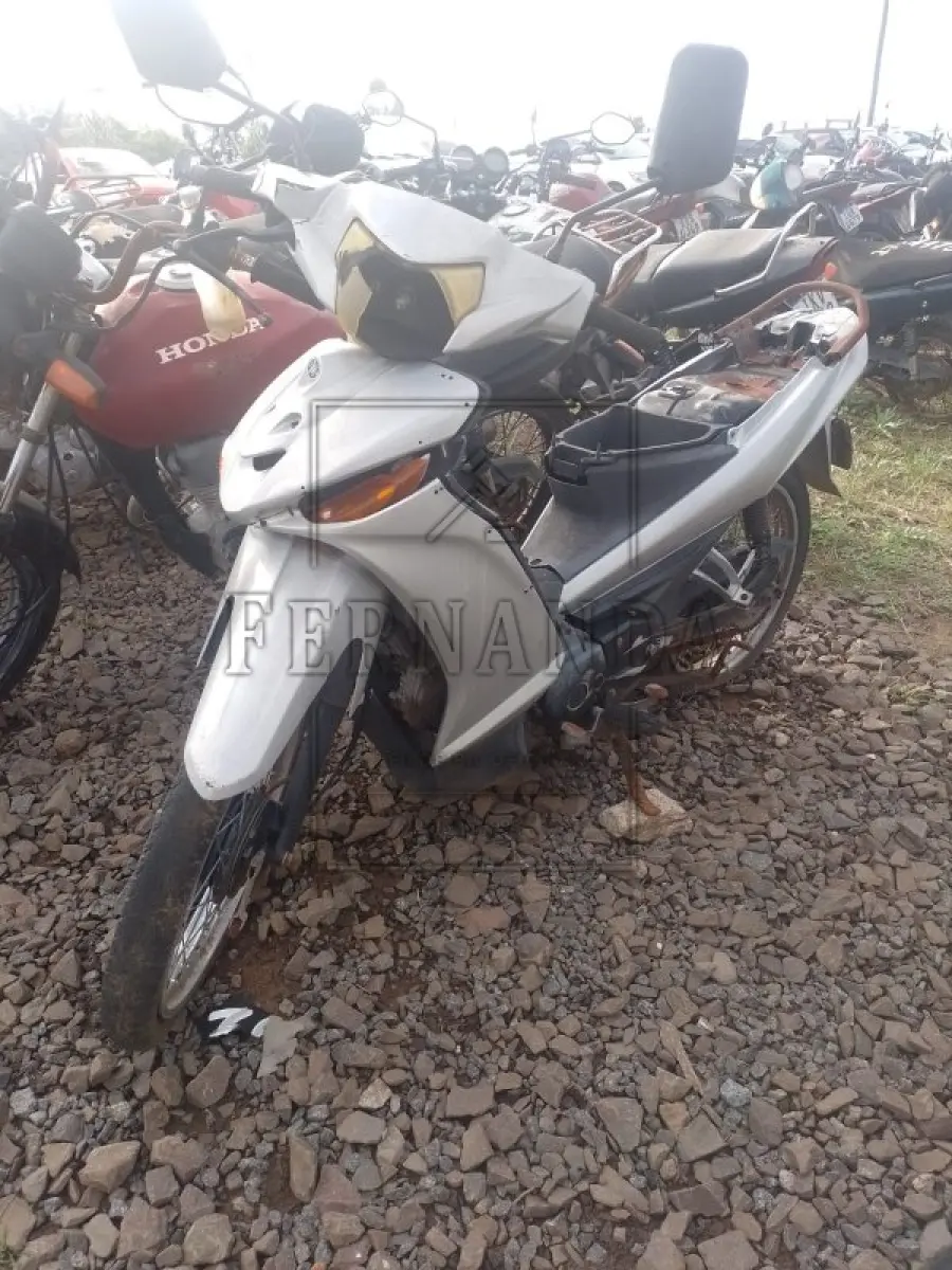 LOTE 0313