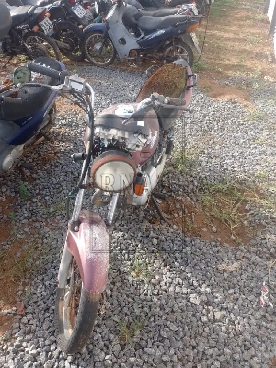 LOTE 0297