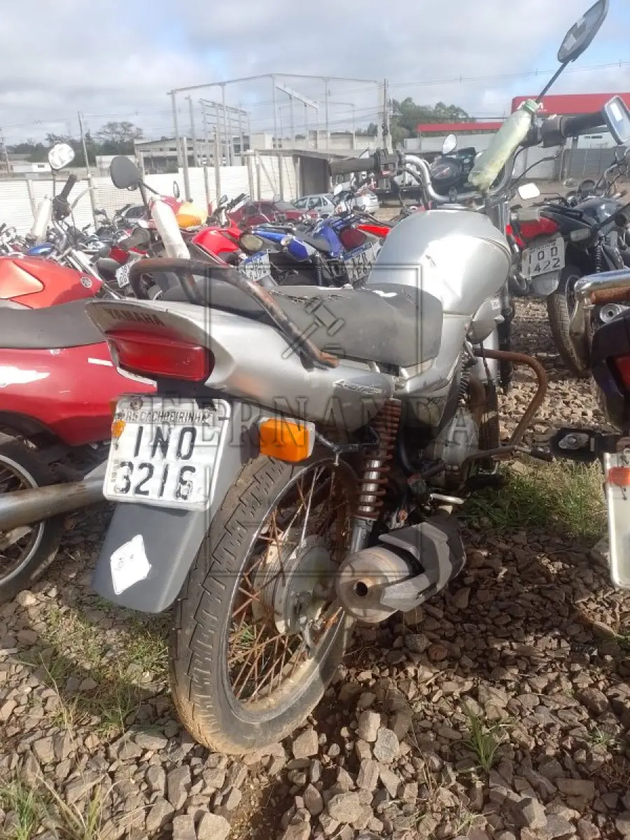 LOTE 0319