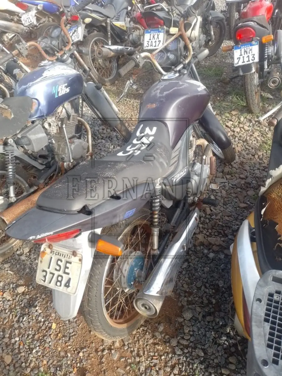 LOTE 0305