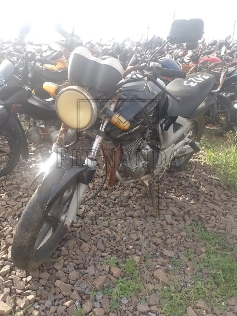 LOTE 0310