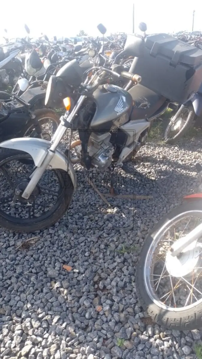 LOTE 0356