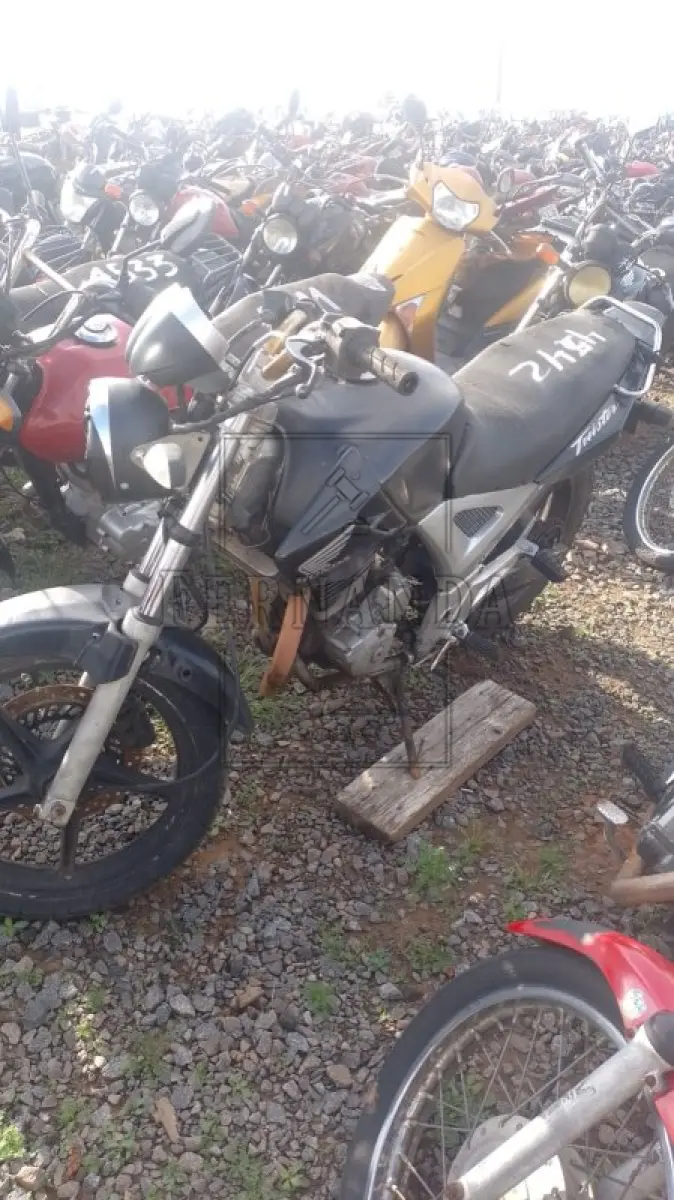 LOTE 0337