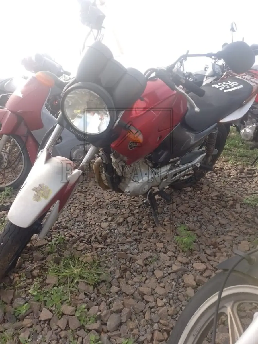 LOTE 0317