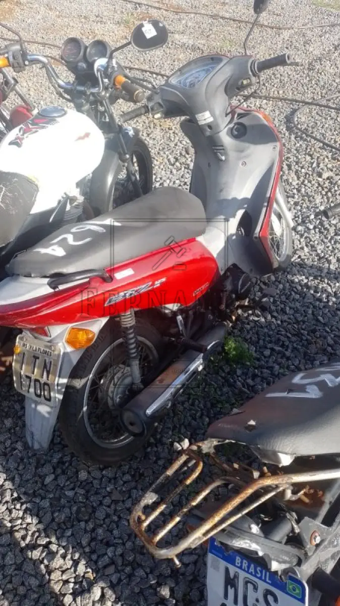 LOTE 0354