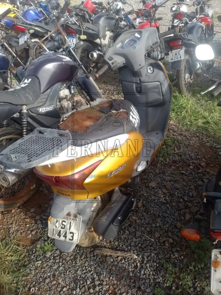LOTE 0306