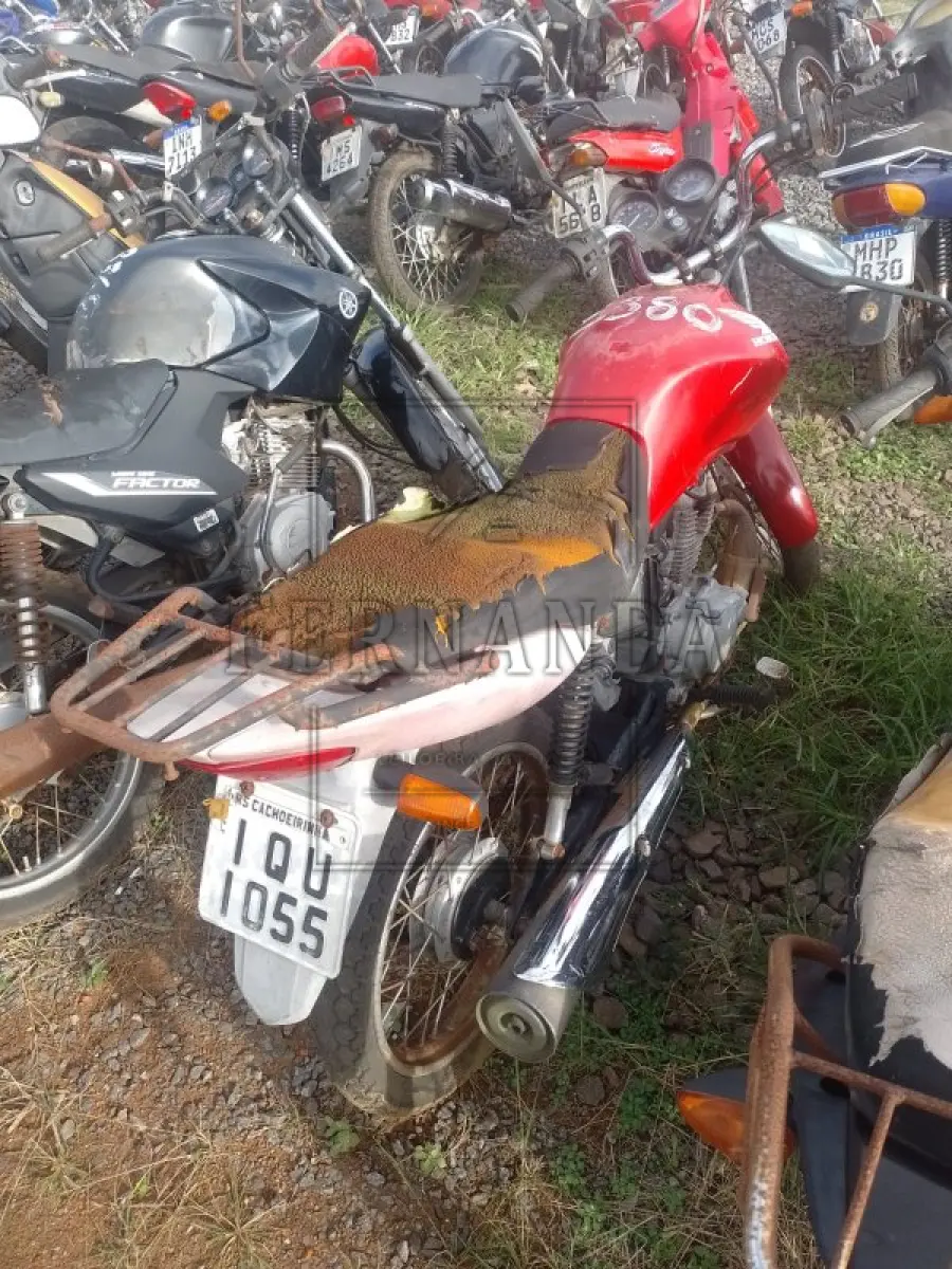 LOTE 0308